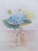 松本 春美 さん　「アジサイ」　色鉛筆とても色鉛筆画らしい発色で仕上がっています。描き出し、濃い目のピンクの単色で大まかな明暗をつけて立体感を出し、制作後半にいくにつれてお花や、葉のもつ固有色(青や緑など)を塗り重ねていきました。ホワイトで明るく描きおこすことのできない色鉛筆ですが、明部の表情が、紙本来のホワイトを活かしながらとても丁寧に描写できています。アジサイの花びらも、全体の大まかな丸味が失われないように上手く一つ一つしっかりと形を描き出すことができました。（講評：宮脇）