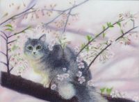 福島 亜希子 さん　「RIENの桜姫」　パステル猫カフェRIENの桜姫ちゃんということですが、とても可愛らしく仕上がっています。ノルウェージャンフォレストキャットの、目がアーモンド形で鼻の尖った特徴のお顔立ちも上手く捉えられています。背景の桜の淡いピンクは形のおこしにくい色彩ですが桜の濃淡を丁寧に観察し、ハイライトを強めに入れるなど、工夫をしながら上手く描き上げることができまた。猫の毛並みも細かく描写できていて、ピンクから作り出したグレー味も周辺の色合いと溶け合っていてとてもきれいです。（講評：宮脇）